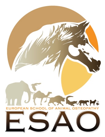 ESAO-ecole-osteopathie-animale