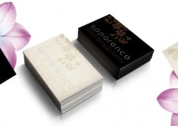 apparence-carte-visite-laser