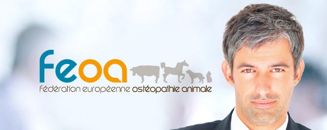 FEOA-osteopathie-animale ©apparence