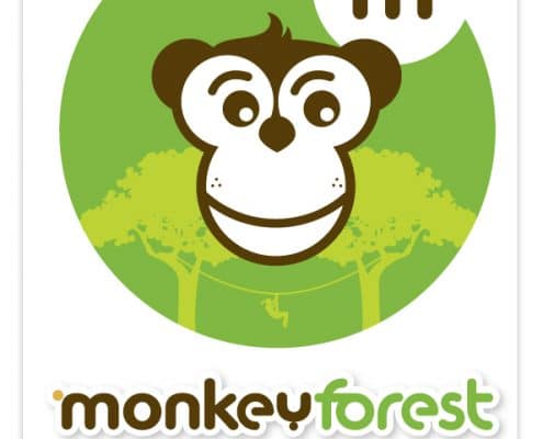 monkeyforest-parc-loisirs-aventures-accrobranches-44